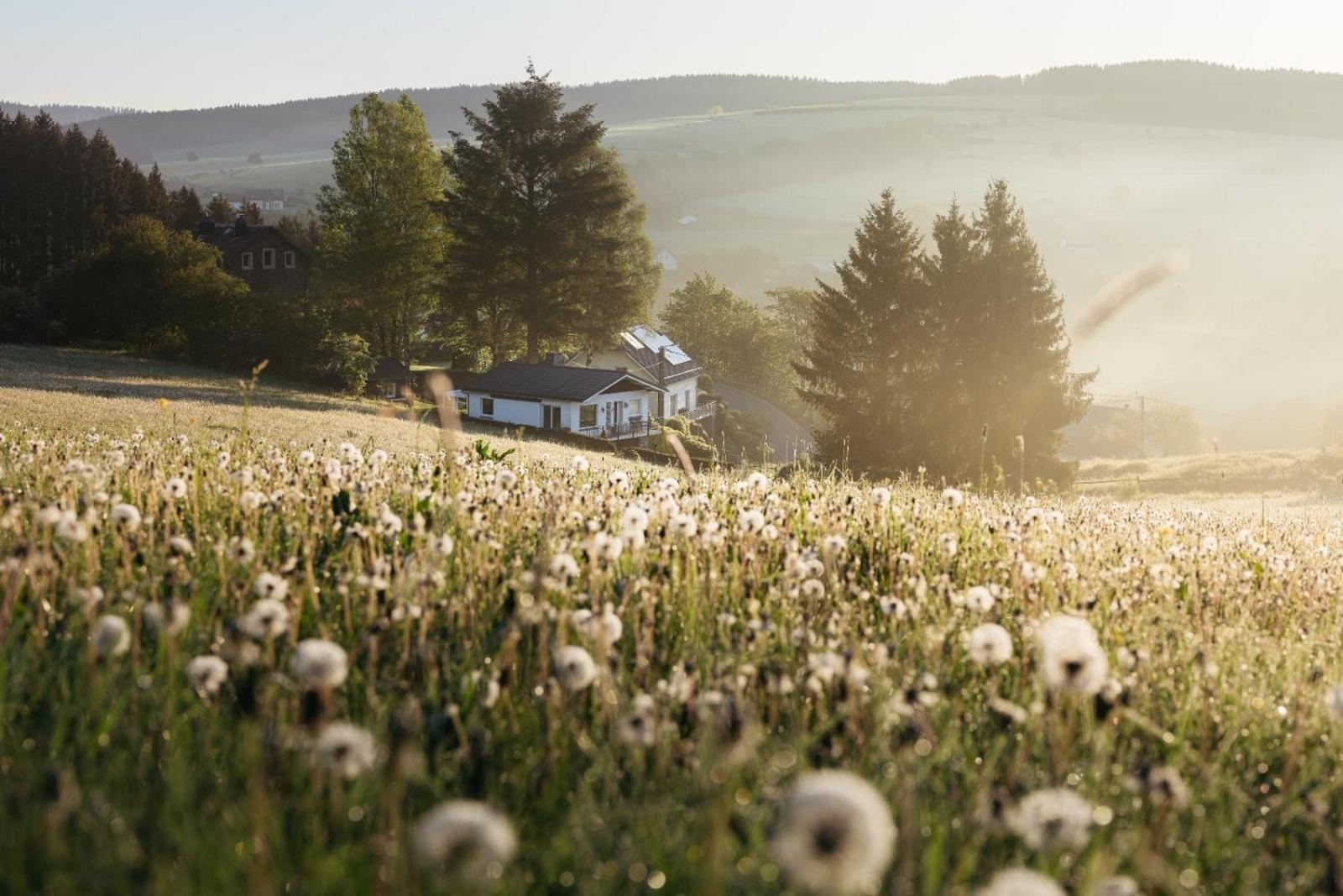 Chalet Panor'Anna St. Vith Esterno foto